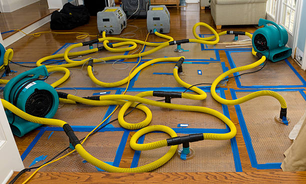 Professional Emergency Water Removal technician working in Pfafftown, NC